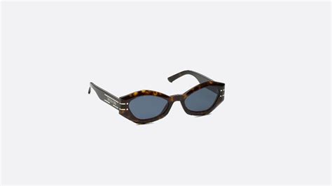 DiorSignature B1U Brown Tortoiseshell